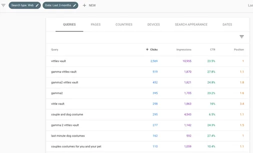 Search Console Report