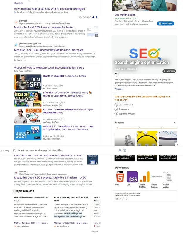 Bing search results showcasing guides, videos, and forums for tracking local SEO efforts